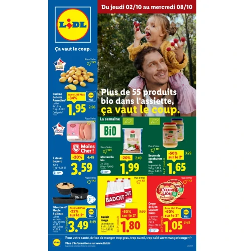 catalog auchan