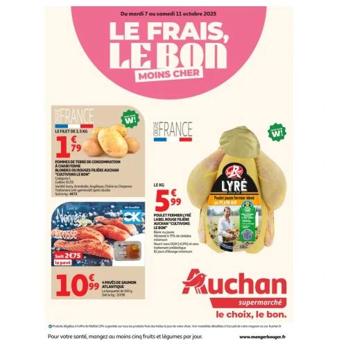 catalog auchan