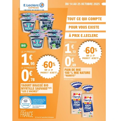 catalog auchan