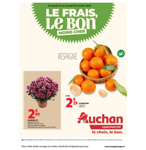 catalog auchan