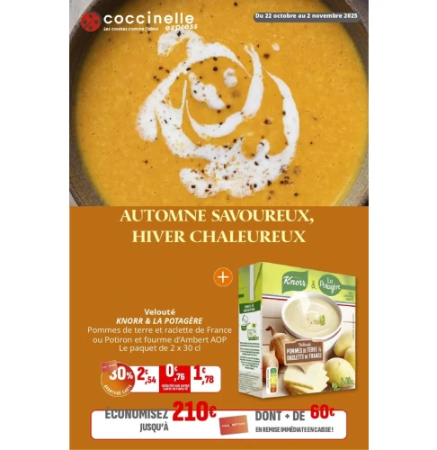 catalog auchan