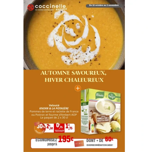 catalog auchan
