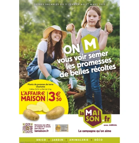 catalog image