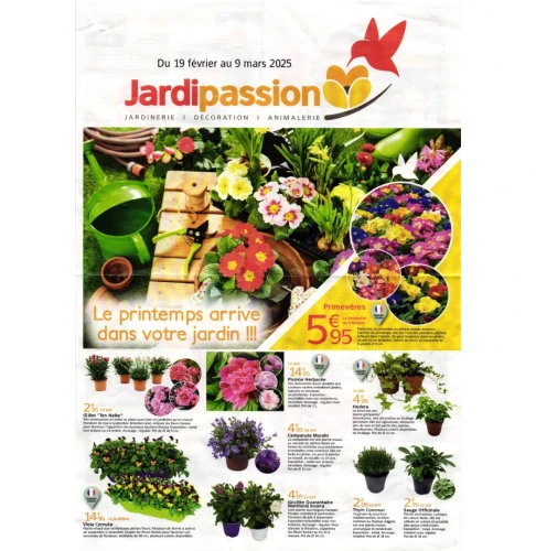 catalog image