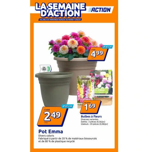 catalog image