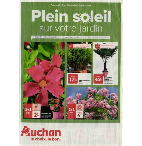 catalog image