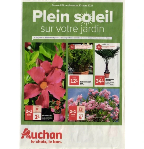 catalog image