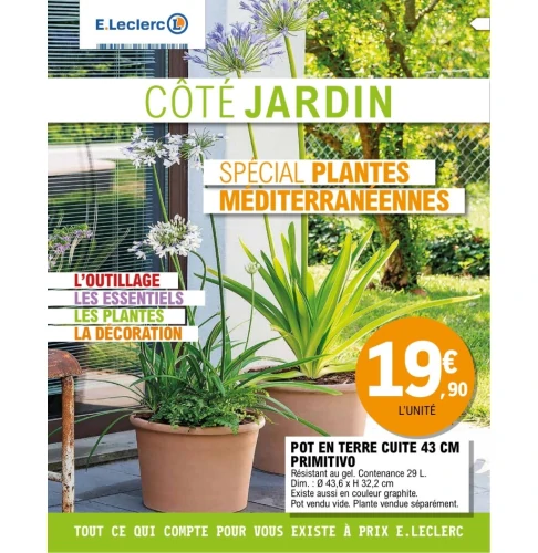 catalog image