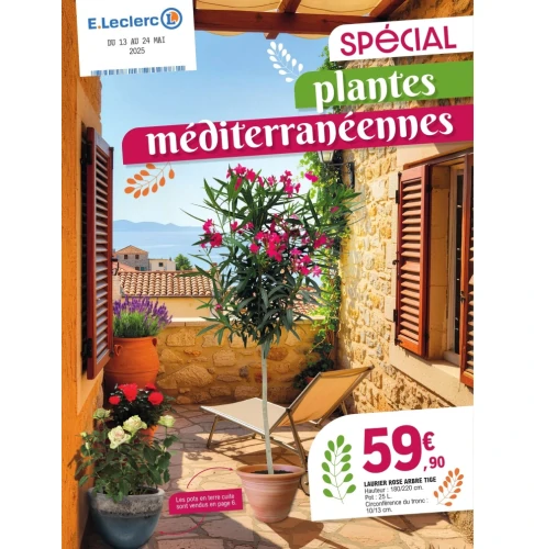 catalog auchan