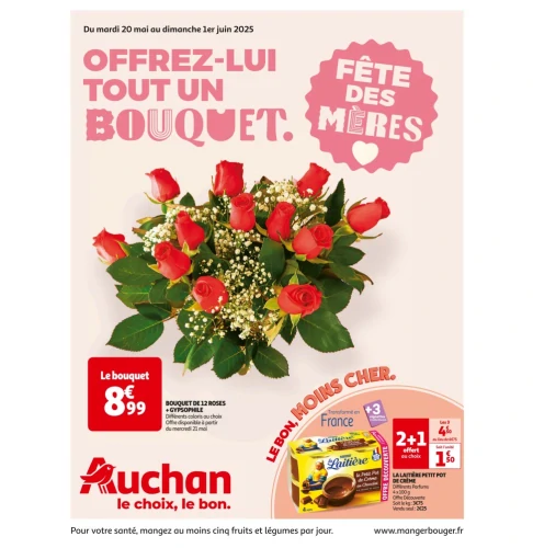 catalog auchan