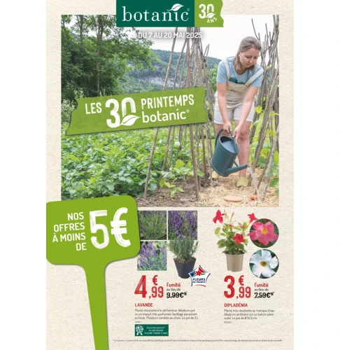 catalog auchan