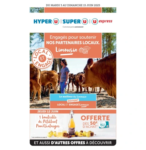 catalog auchan
