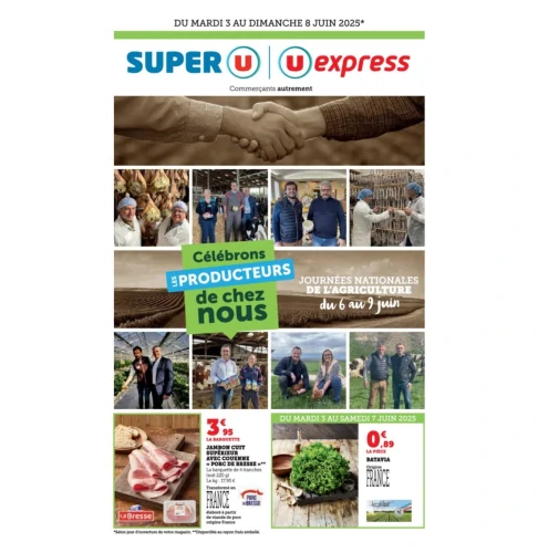 catalog auchan