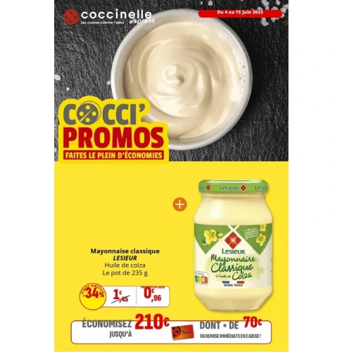 catalog auchan