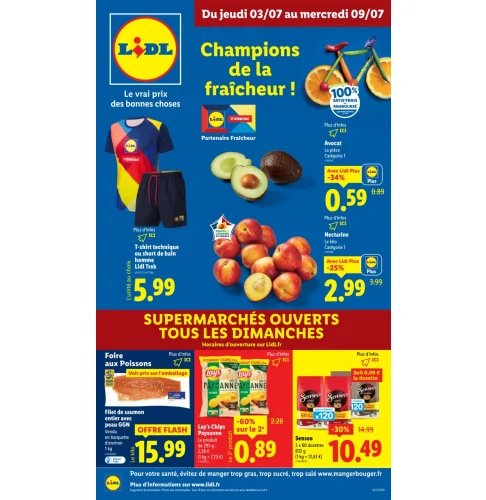 catalog auchan