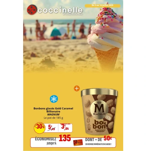 catalog auchan