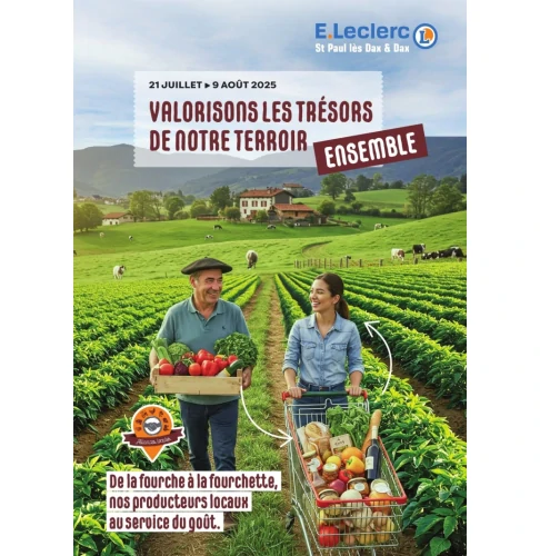 catalog auchan