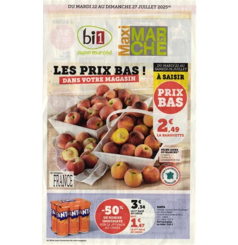 catalog auchan