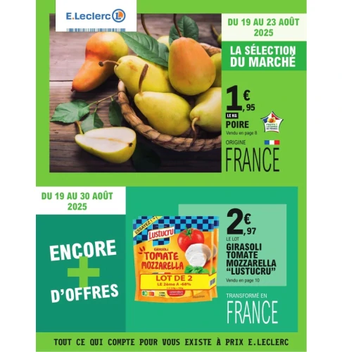 catalog auchan