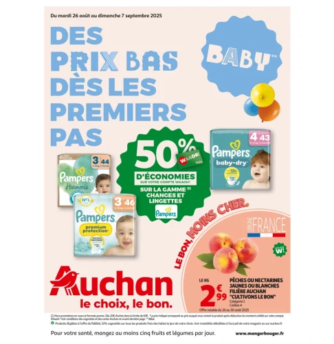 catalog auchan