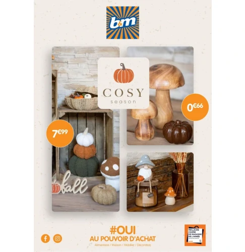 catalog auchan