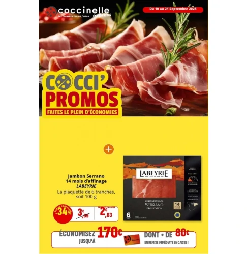 catalog auchan