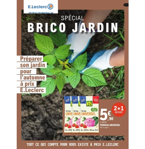 catalog auchan