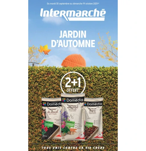 catalog auchan