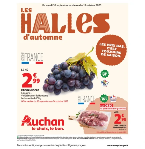 catalog auchan
