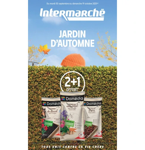 catalog auchan