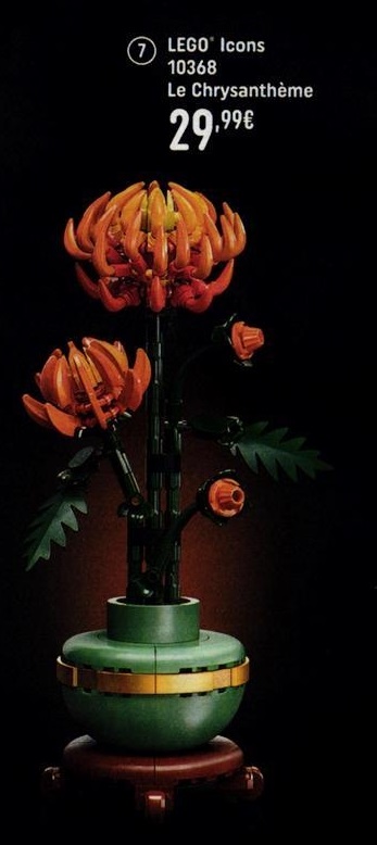 1004254_203_3.jpg