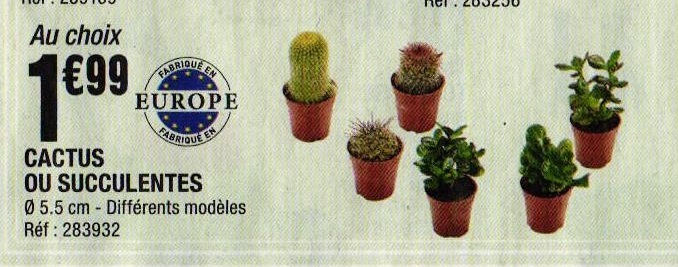 1013649_9_15.jpg