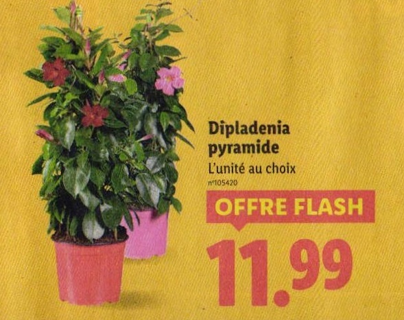 1014812_27_7.jpg