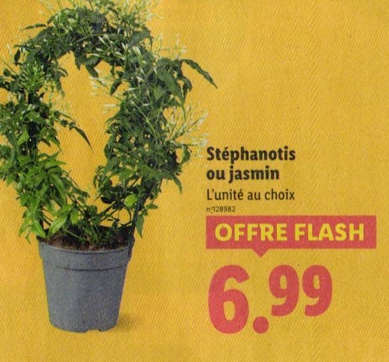 1014812_27_3.jpg