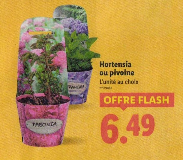 1014812_26_3.jpg