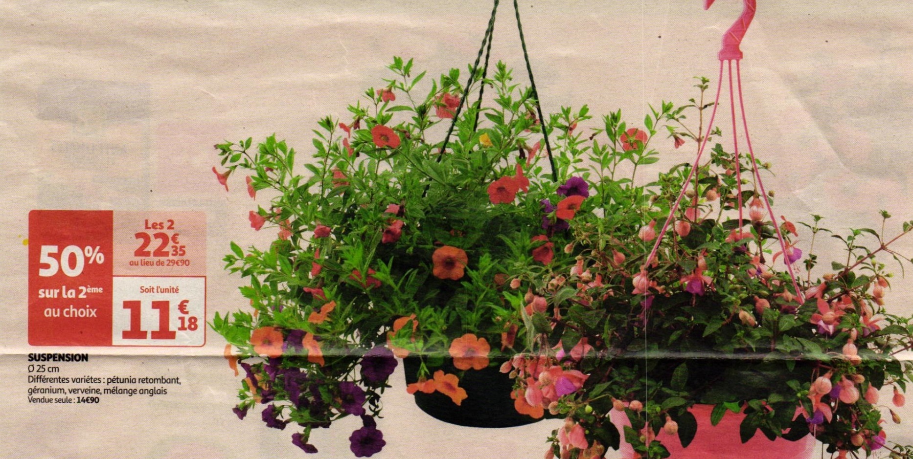 1017789_1_1.jpg