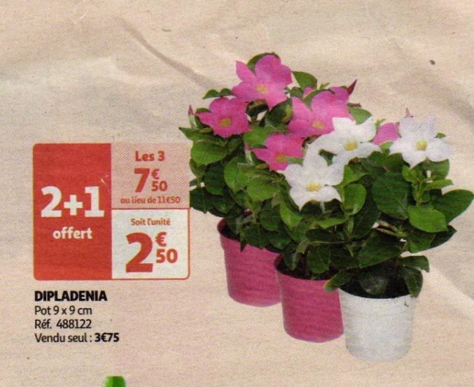 1017789_4_2.jpg